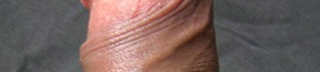 Illustration for article titled All 8 Glorious Inches Of Purebred American Cock...Ranked